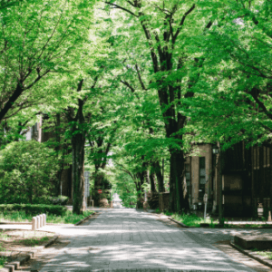 国立大学基本データ