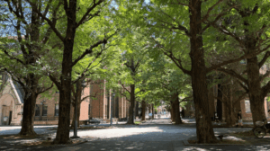 日本の国立大学