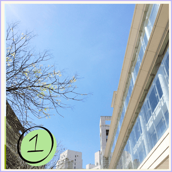 学部数1の東京の大学、単科大学